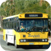 More real Surfside Bus images